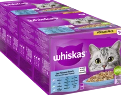Portionsbeutel Multipack Vorratspack 1+ Fisch Auswahl in Gelee 24 x 85g