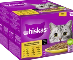 Portionsbeutel Multipack Vorratspack 1+ Geflügel Auswahl in Sauce 24 x 85g