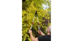 Premium Teleskop Astschere Bypass