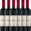 Primitivo IGT Doppia Fermentazione, 6er Karton
