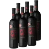 Primitivo IGT Salento Appassito 99 LMP - 6er Karton