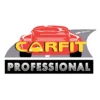 Professional Autopolitur