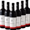 Red Artisan Cuvee Merlot- Schwarze Mädchentraube - 6er Karton