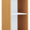 Regal "Lona I L" Buche