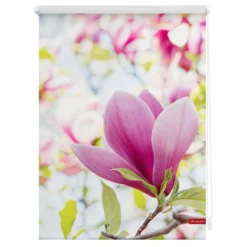 Rollo Klemmfix, ohne Bohren, blickdicht, Magnolie - Rosa, 80 x 150 cm (B x L)