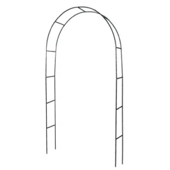 Rosenbogen Basic, grün
