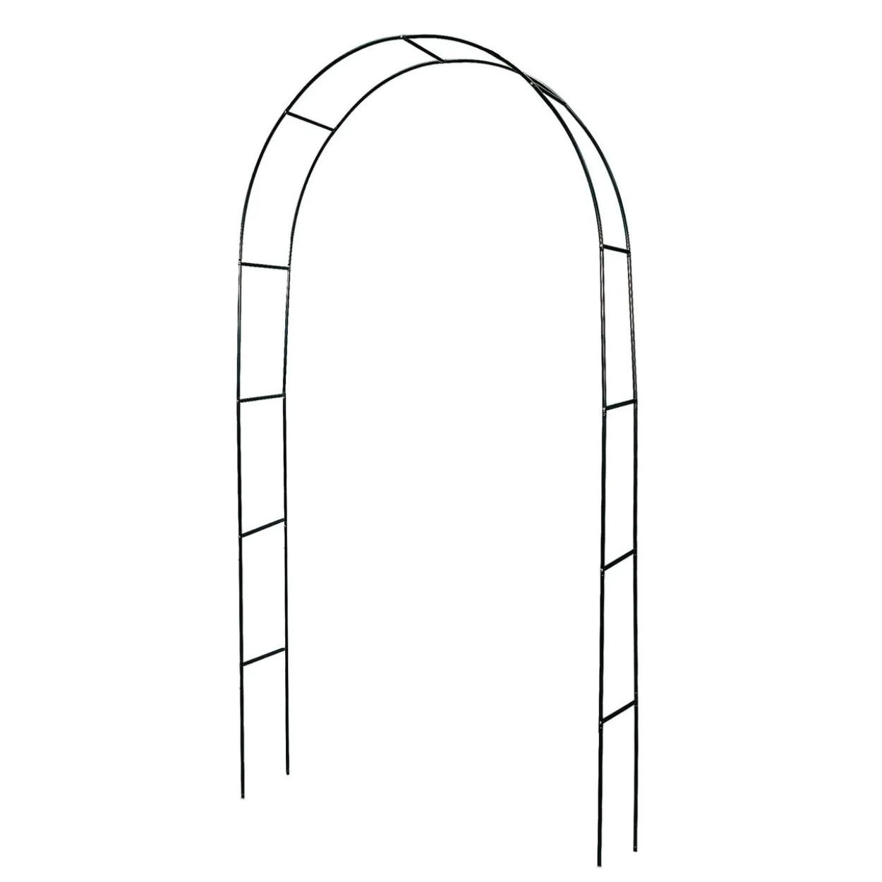 Rosenbogen Basic, grün