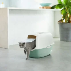 Rotho MyPet Eco Bailey Katzentoilette mit Deckel und Aktivkohlefilter, grün/weiss (recycelt)