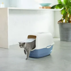 Rotho MyPet Eco Bailey Katzentoilette mit Deckel und Aktivkohlefilter, blau/weiss (recycelt)