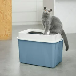Rotho MyPet Eco Berty Katzenklo mit Top-Eingang, blau/weiss (recycelt)