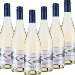 Sauvignon Blanc Emilia IGT "Edizione Viticoltore" Italien trocken - 6er Karton