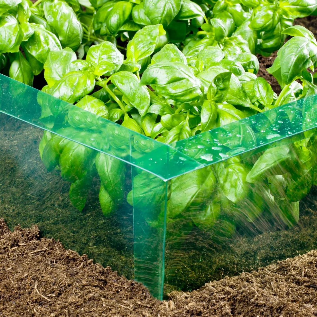 Schneckenbarriere PET 20cm x 14m