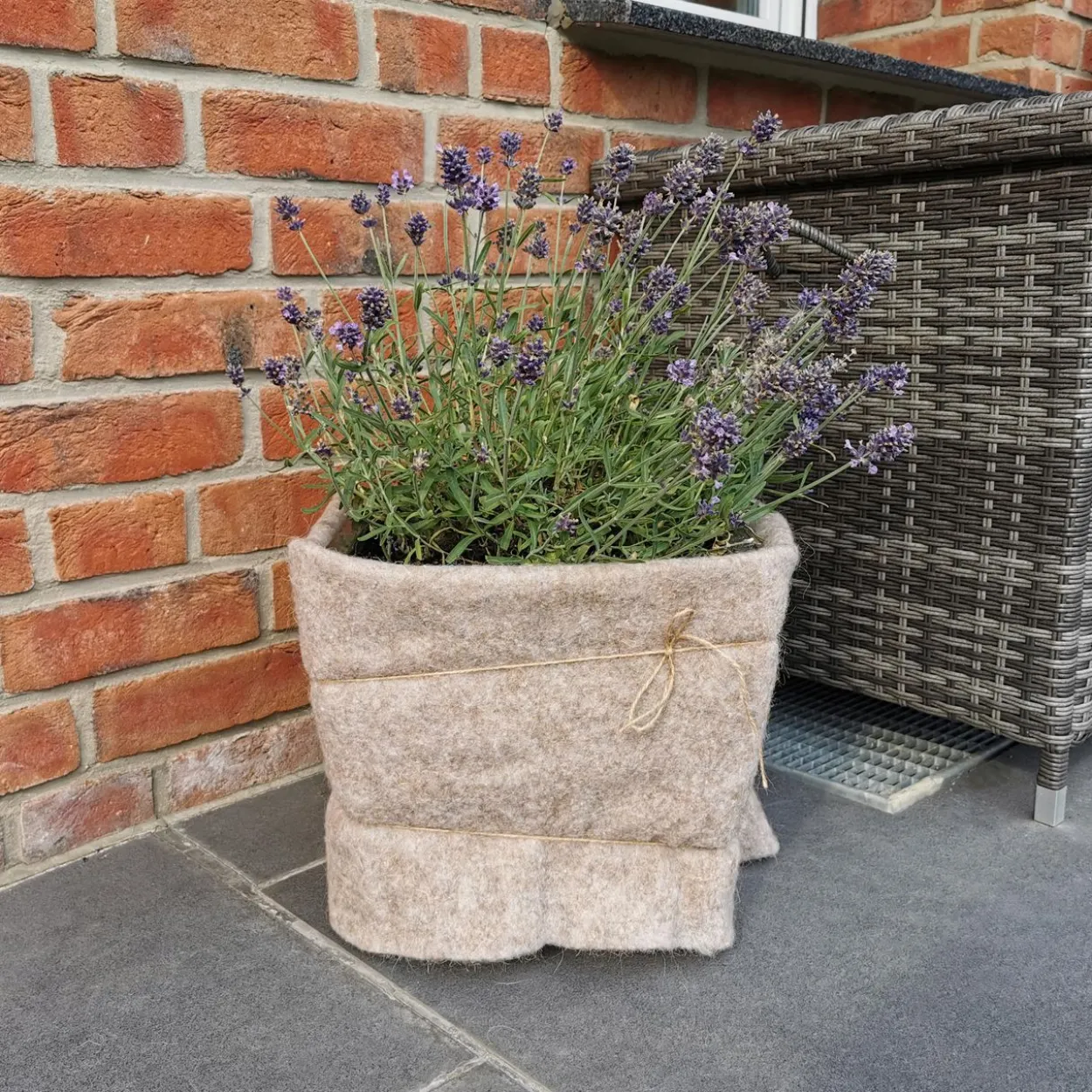 Schnecken-Stopp-Vlies 80x60 cm