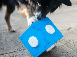 Schnüffel Cube, Schnüffelspaß für Hunde, Hundetraining, Geruchssinn