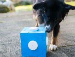 Schnüffel Cube, Schnüffelspaß für Hunde, Hundetraining, Geruchssinn