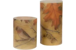 Set/2 LED-Kerzen Herbstvogel