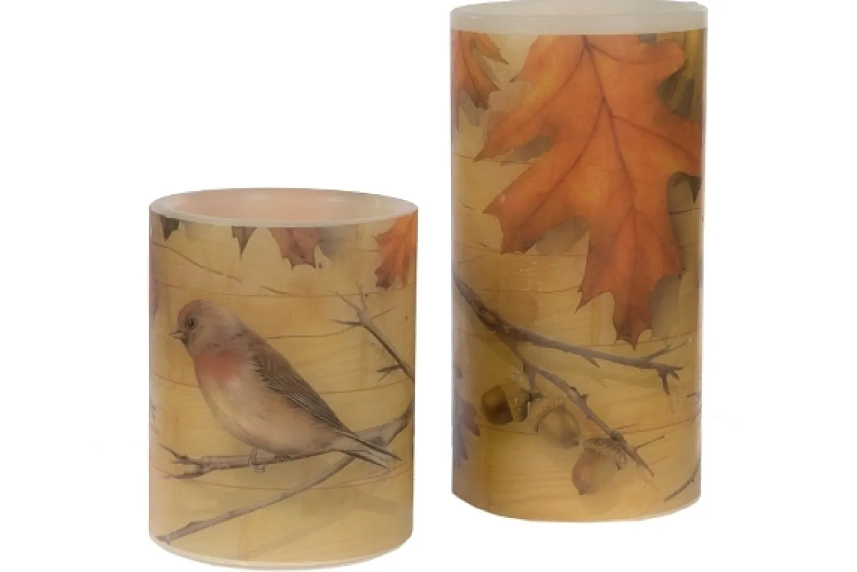 Set/2 LED-Kerzen Herbstvogel