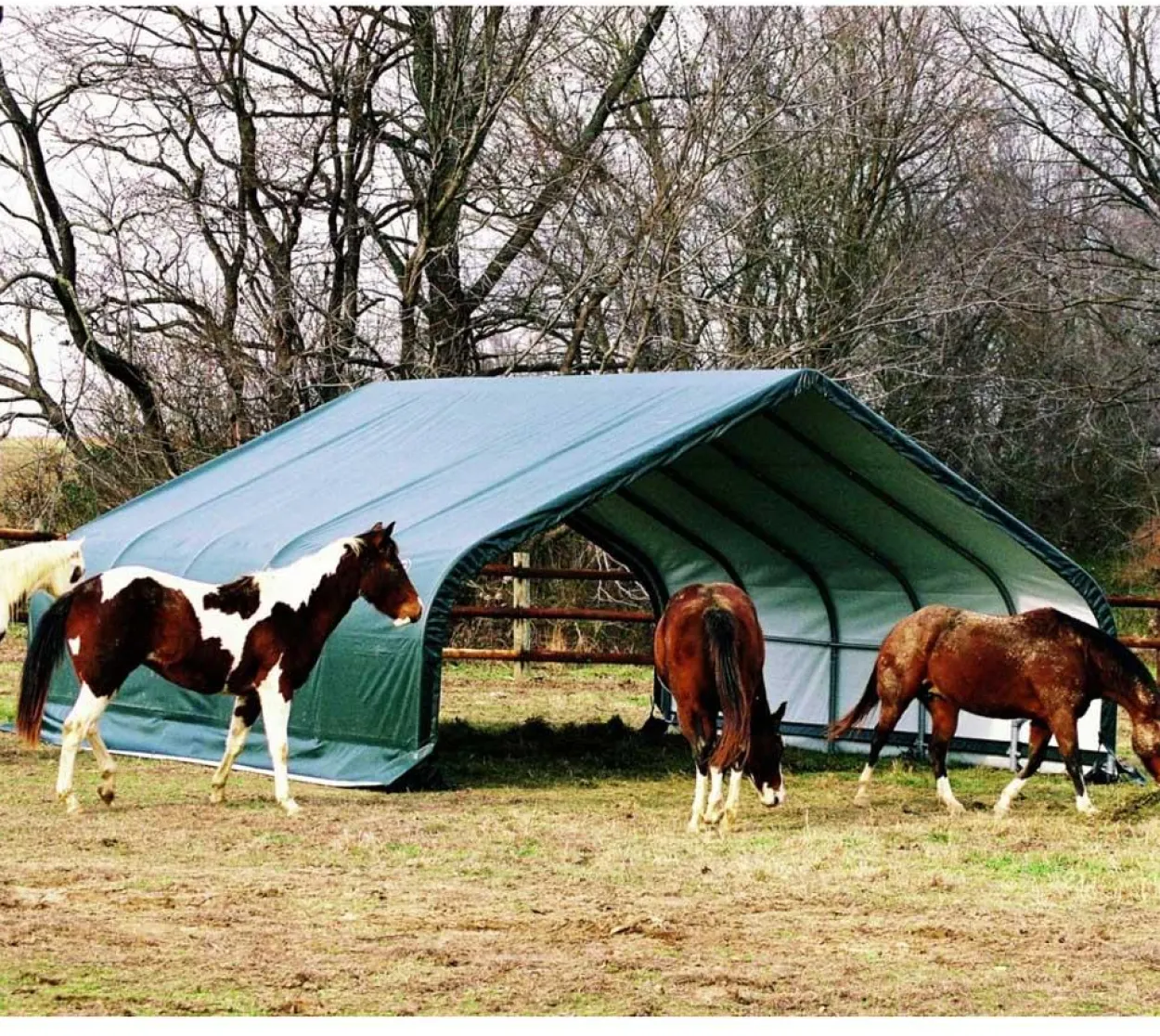 ShelterLogic Weidezelt Run-In-Shed 49,6 m² grün