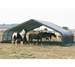 ShelterLogic Weidezelt Run-In-Shed 49,6 m² grün