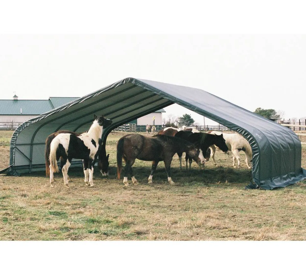 ShelterLogic Weidezelt Run-In-Shed 49,6 m² grün
