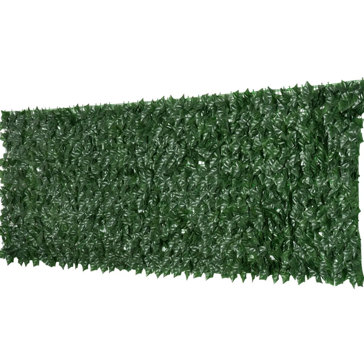 Sichtschutzhecke