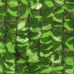 Sichtschutzhecke Labrusca 100x300cm