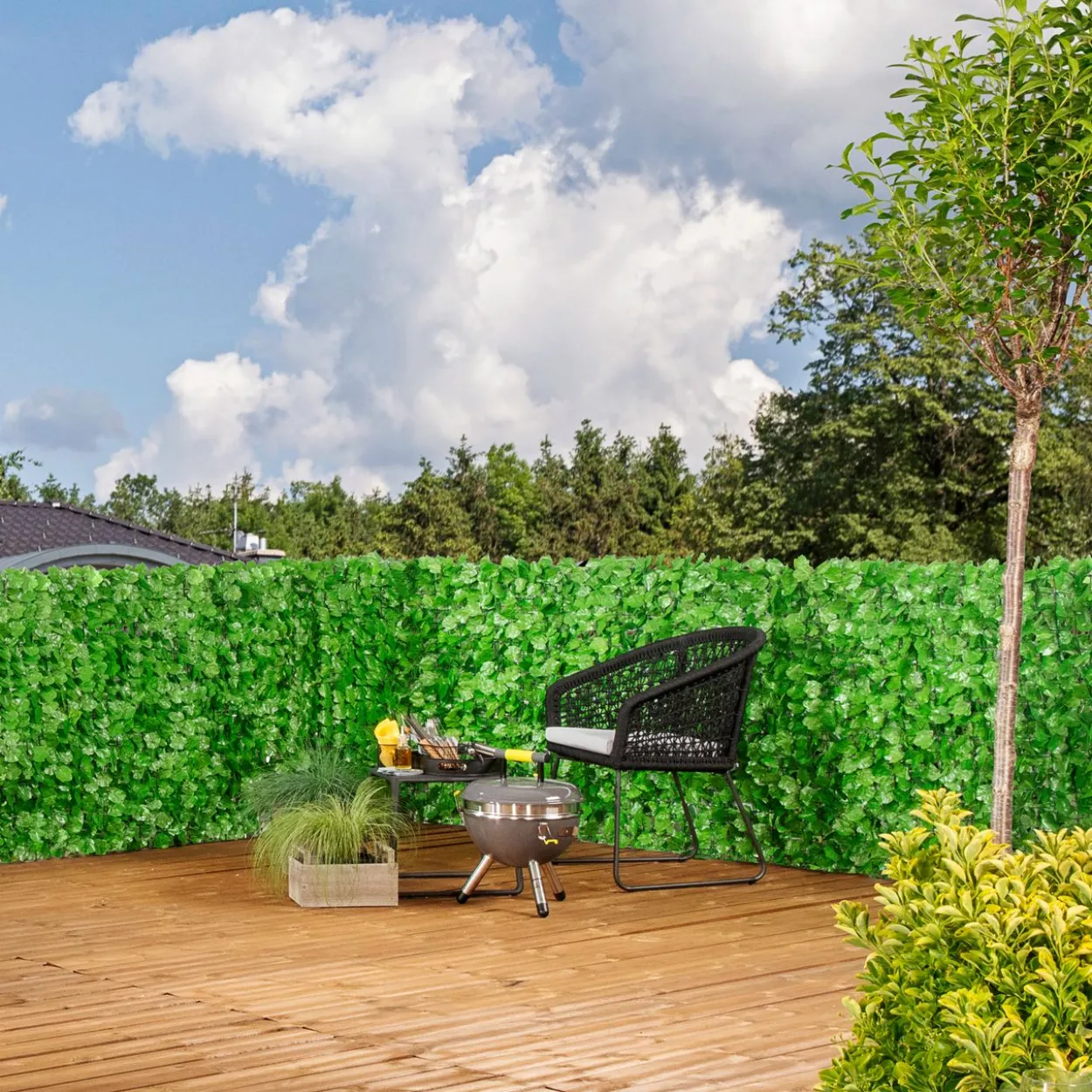 Sichtschutzhecke Labrusca 100x300cm
