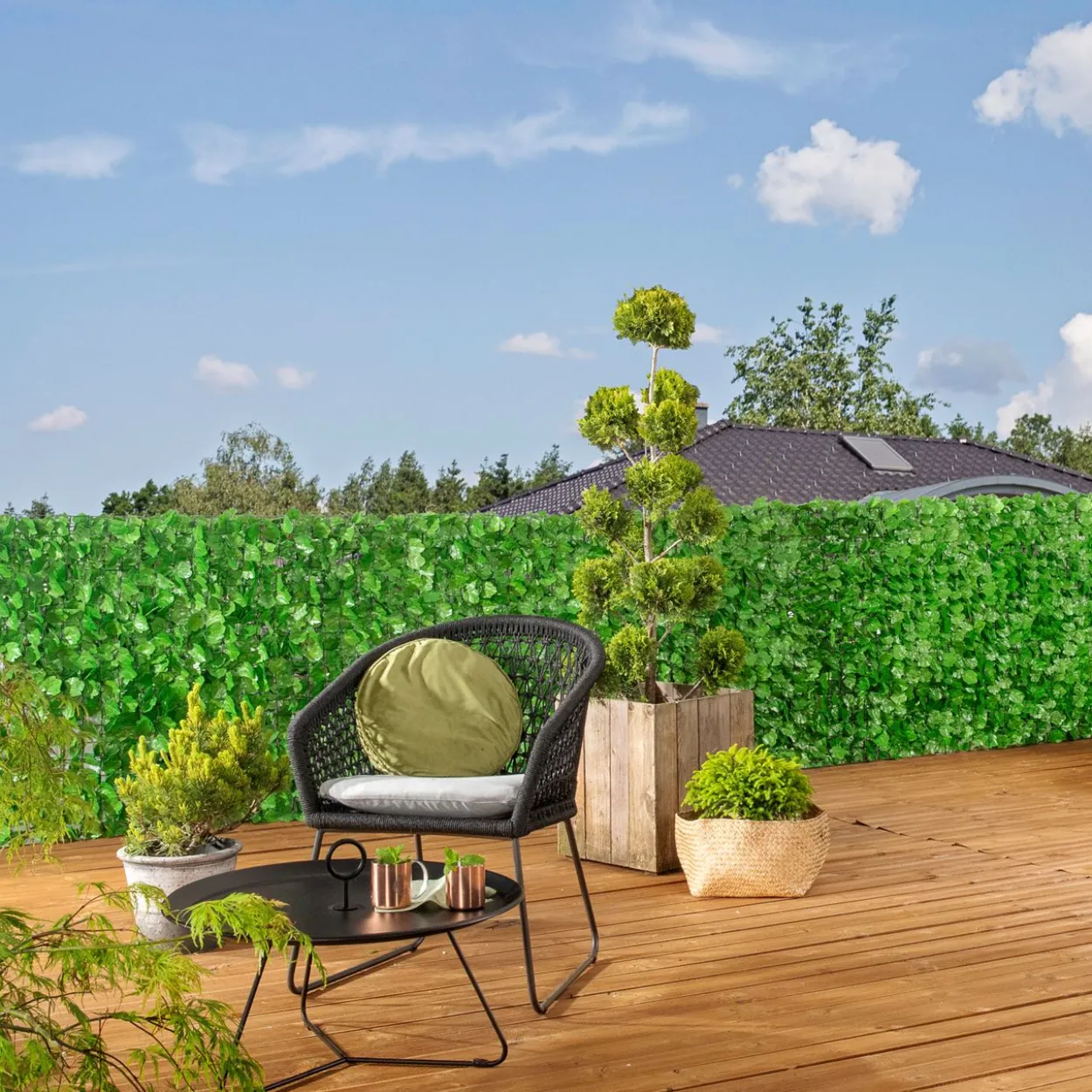 Sichtschutzhecke Labrusca 150x300cm