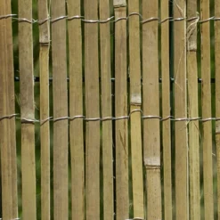 Sichtschutzmatte Mitake 100x300 cm