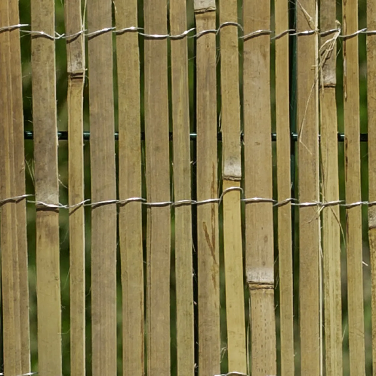 Sichtschutzmatte Mitake 100x300 cm