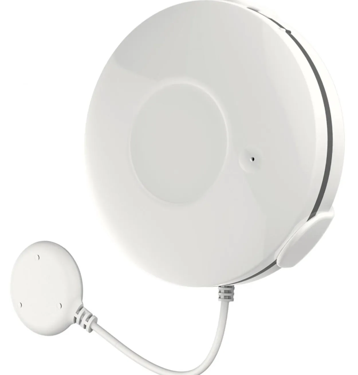 Smart Home WiFi Wassermelder