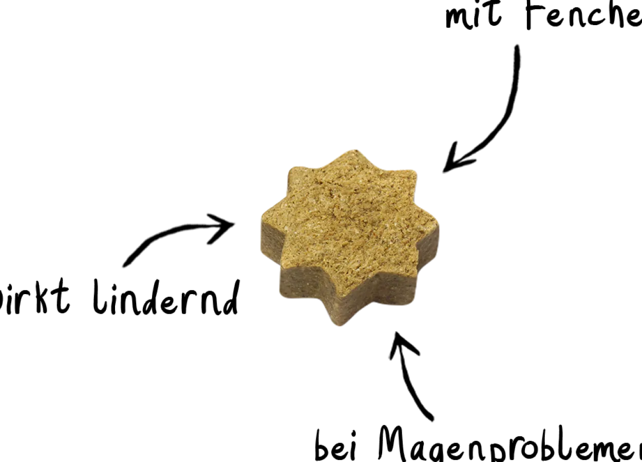 Snack Verdauung Fenchel 5 x 125g