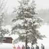 Snow Racer Lenkschlitten Graphite Blue