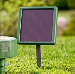 Solar Accu 6V/600 mAh