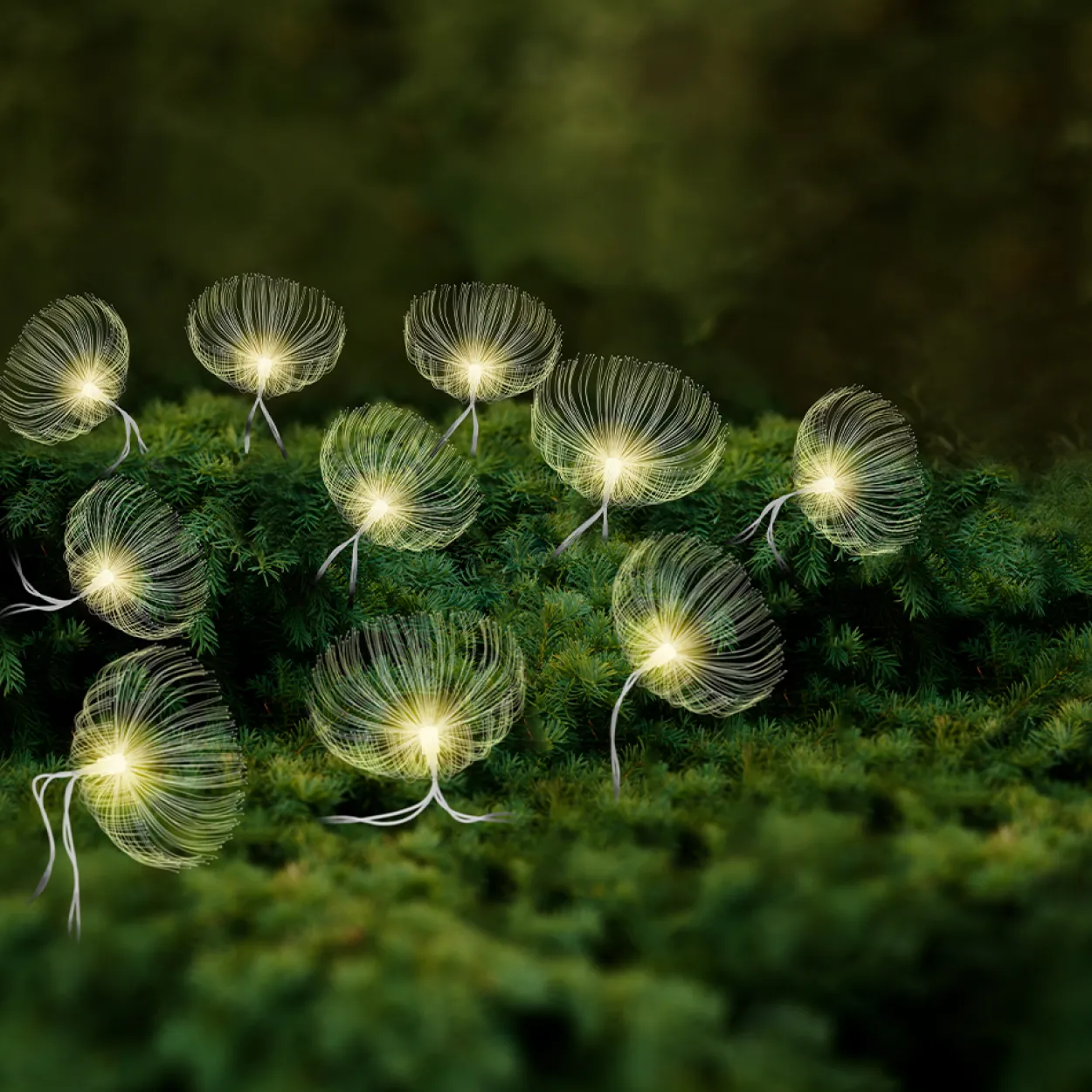 Solar-Lichterkette 10er "Dandelion"