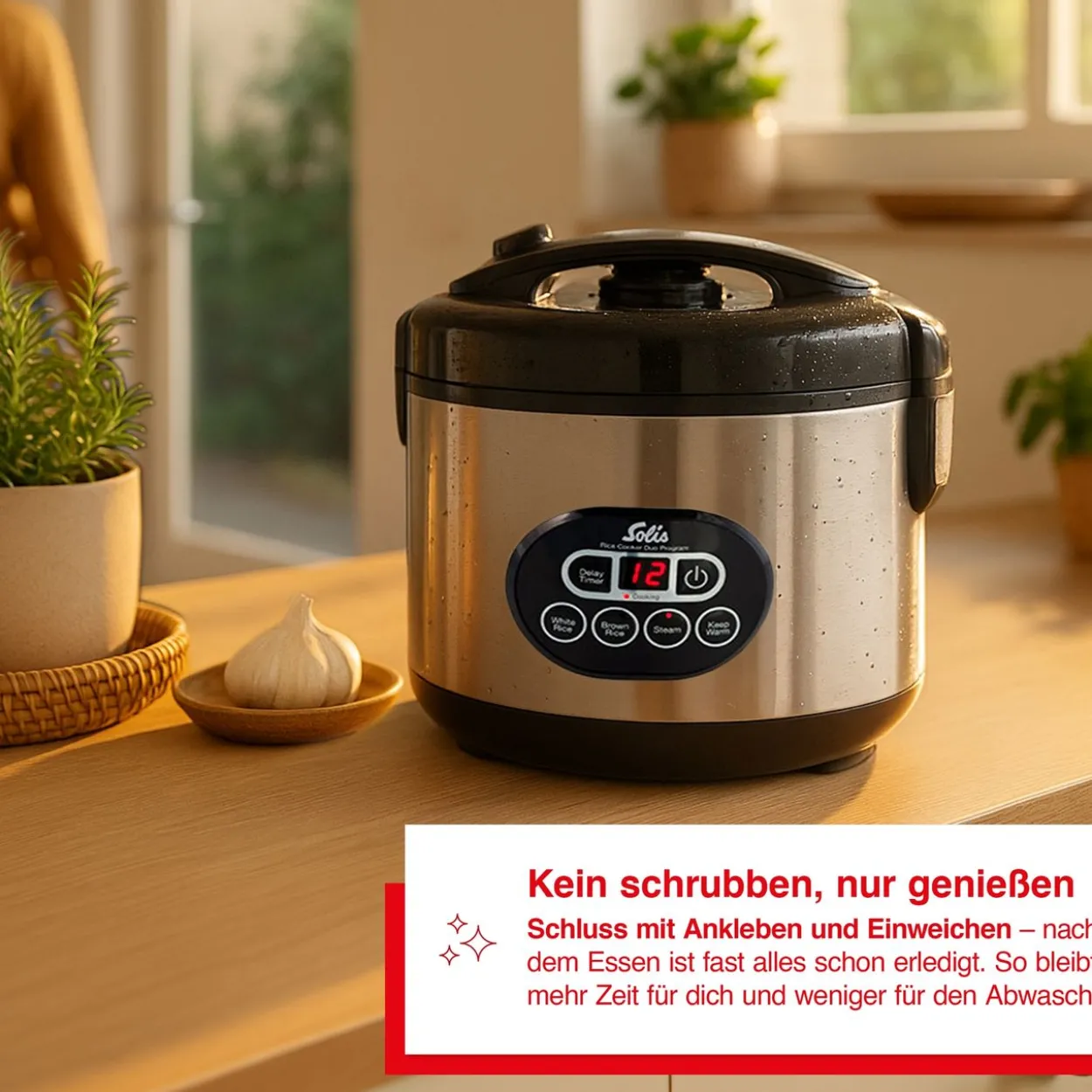 Solis Rice Cooker Duo Programm (Typ 817) Reiskocher und Dampfgarer