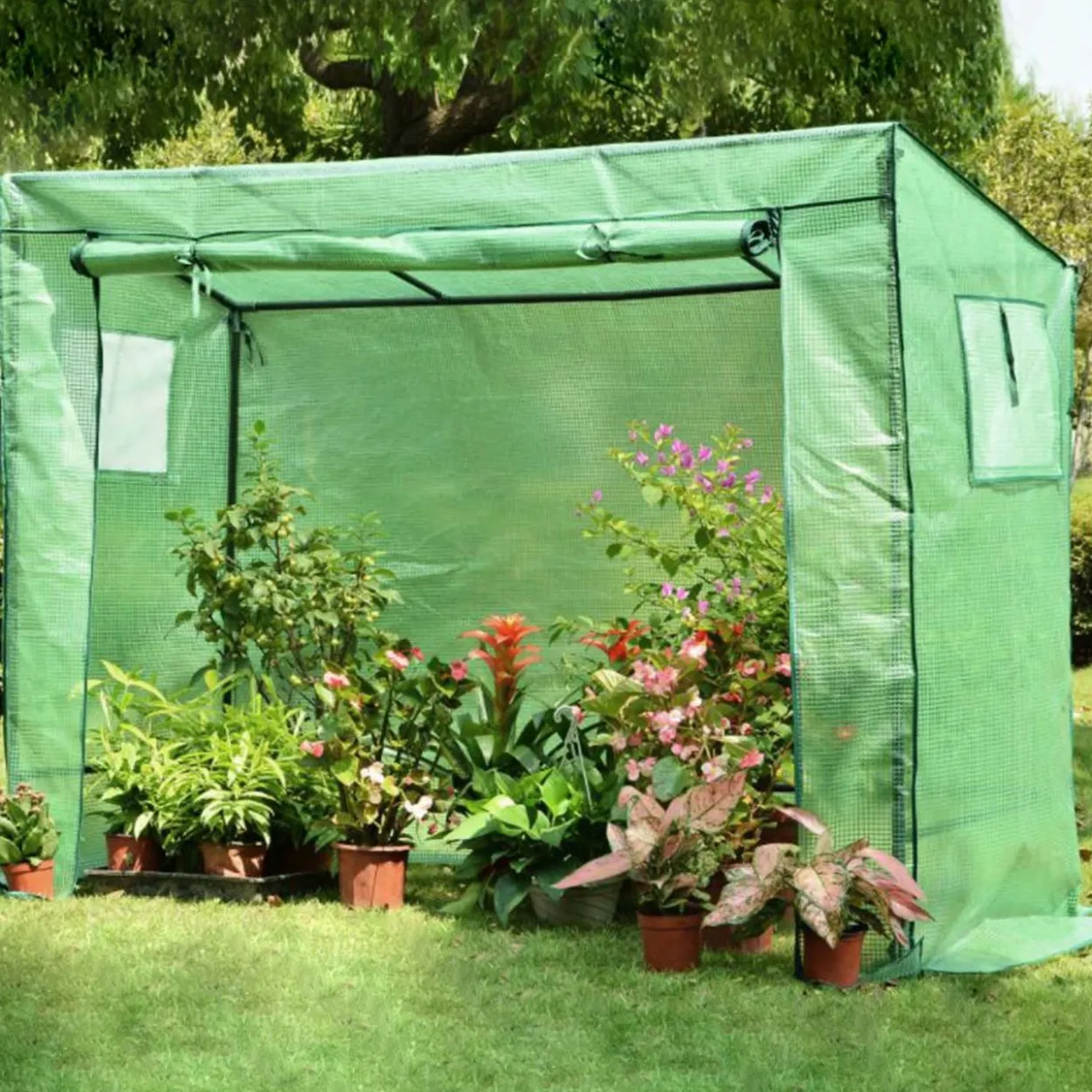 Stabiles Gewächshaus 200x77x169 cm, Foliengewächshaus mit 2 Fenstern