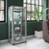 Standvitrine "Kavisa L" Silber