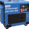 Stromerzeuger GSE 5501 DSG
