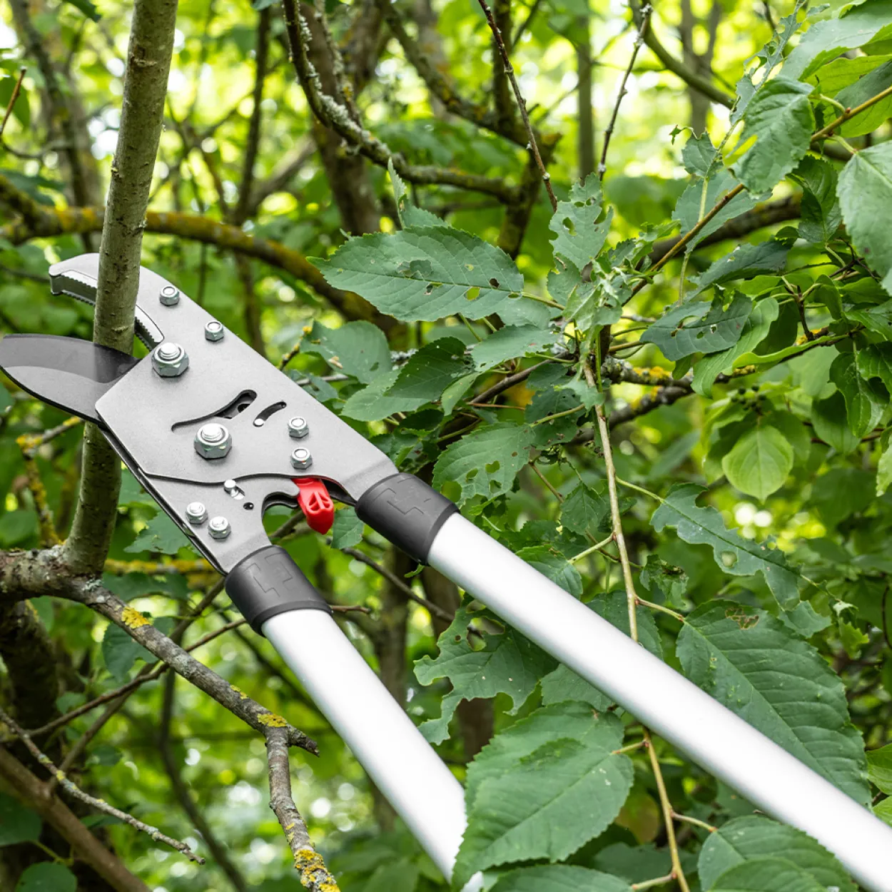 Teleskop Getriebe Astschere