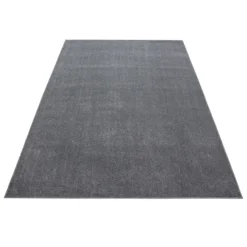 Teppich, ATA 7000, LIGHTGREY, 80 x 150 cm
