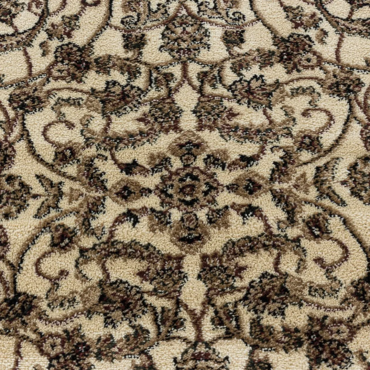 Teppich, KASHMIR 2604, CREAM, 240 x 340 cm
