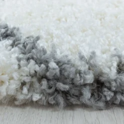 Teppich, SALSA 3201, CREAM, 80 x 150 cm