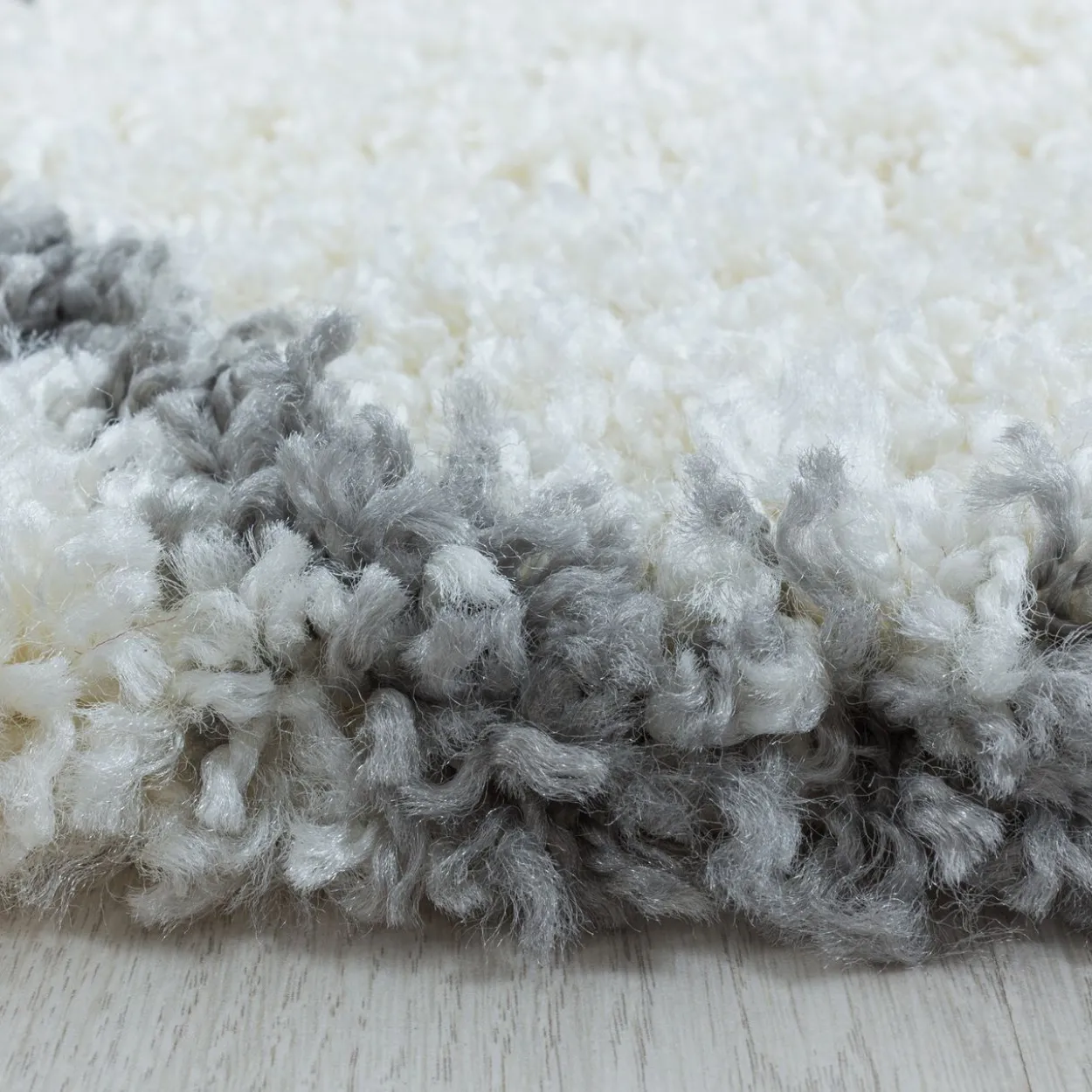 Teppich, SALSA 3201, CREAM, 80 x 150 cm