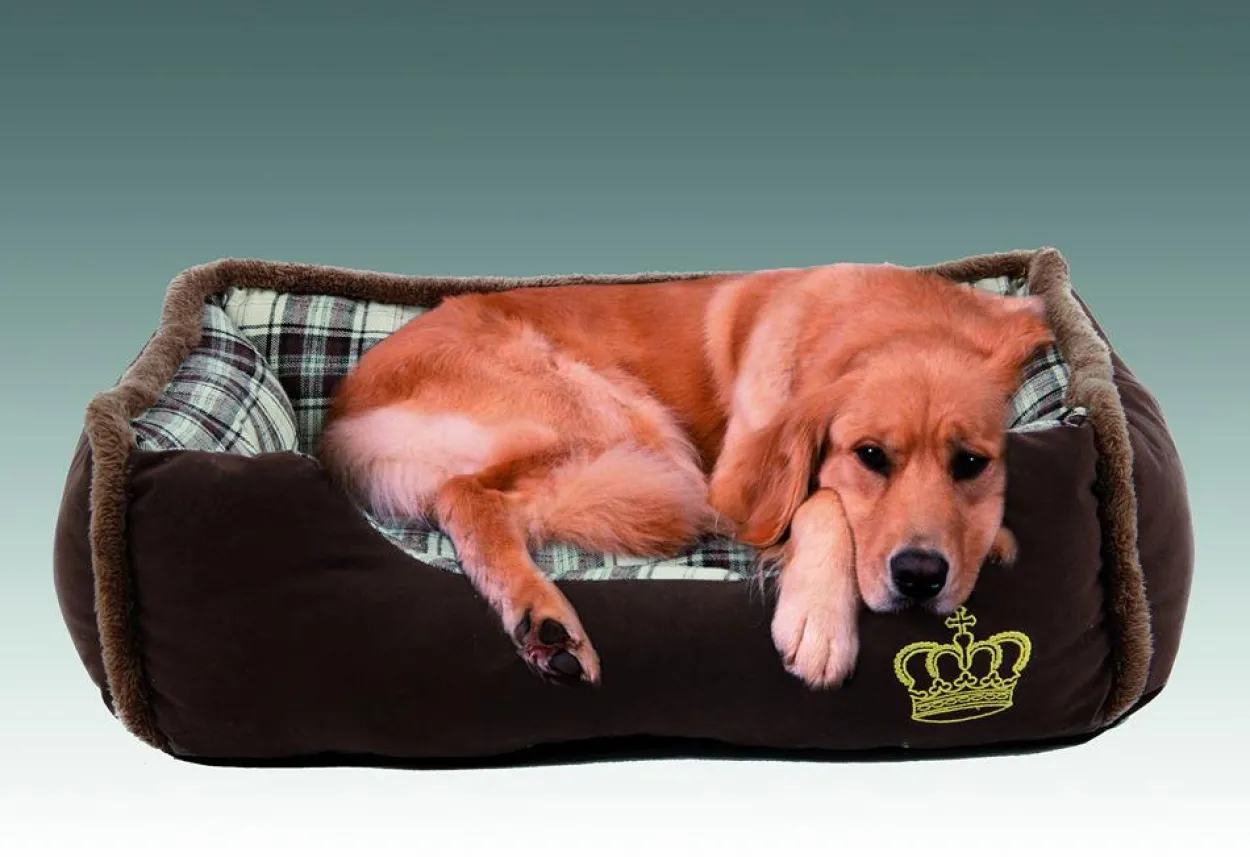 tierbett"Krone"mit Kronenmotiv, Gr.M
