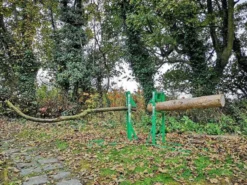 Timber Croc Sägebock mit Holzhalterung, grün