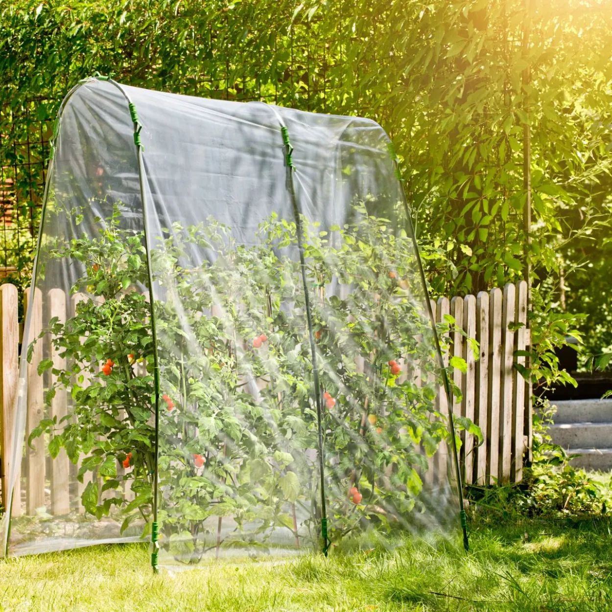 Tomaten-Folientunnel Set