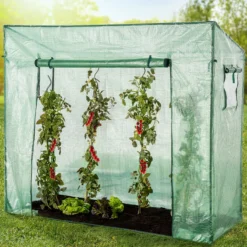 Tomatengewächshaus mit 1 Tor und 2 Fenster, ca. 200 x 77 x 169/148 cm