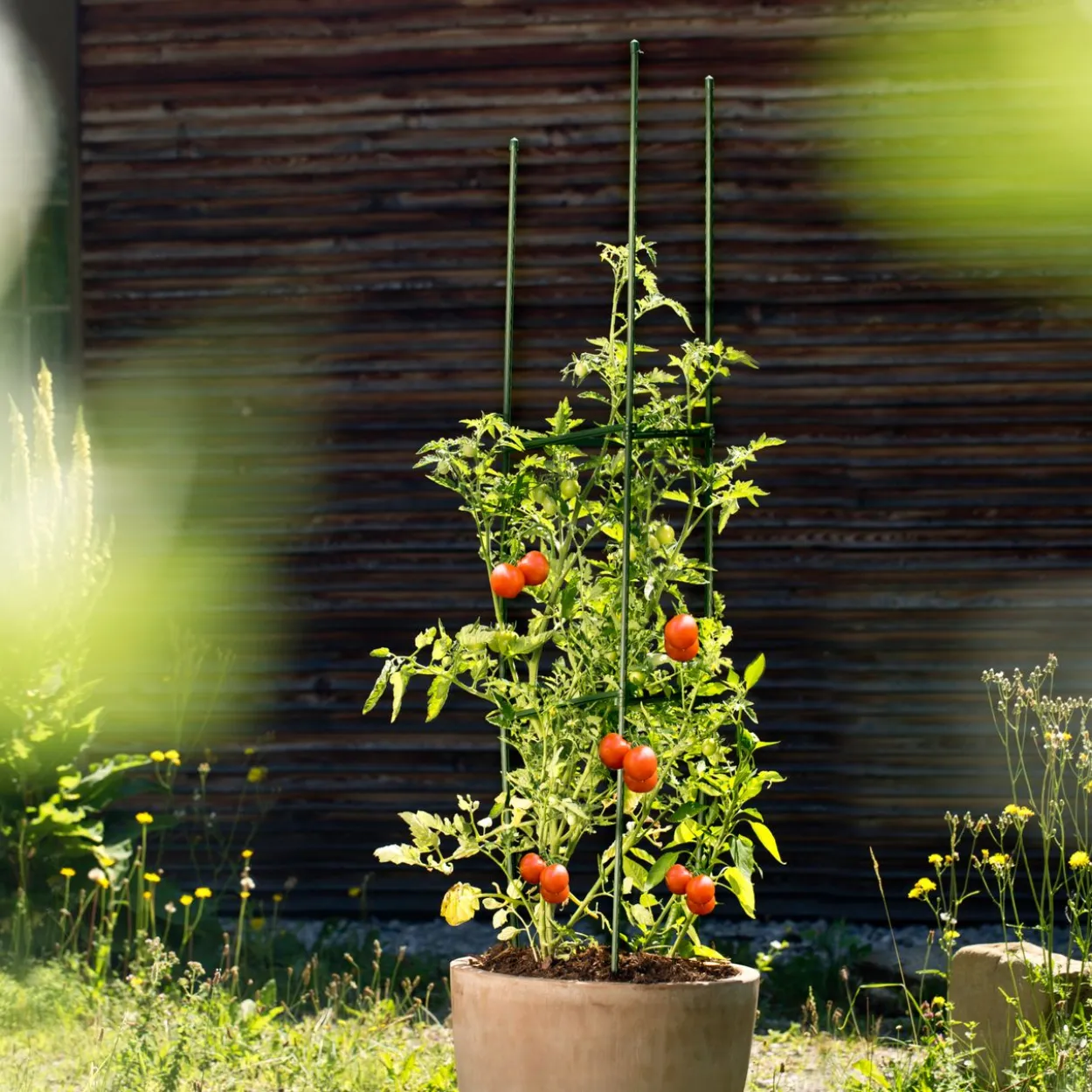 Tomaten-Rankturm 150x30 cm