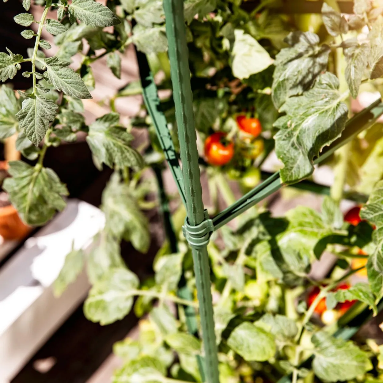 Tomaten-Rankturm 150x30 cm